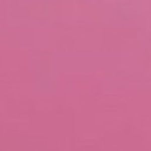 Meet your Posher, Aya